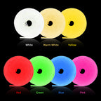 Control Flexible Soft Light Strip Neon Light Strip